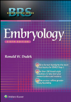 BRS Embryology [6th-2014].pdf